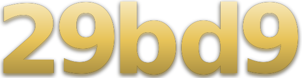 29bd9 logo